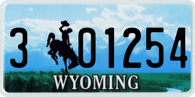 WY license plate 301254