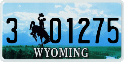 WY license plate 301275