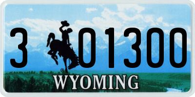 WY license plate 301300