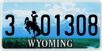 WY license plate 301308