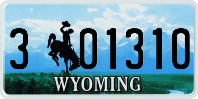 WY license plate 301310
