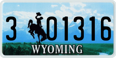 WY license plate 301316