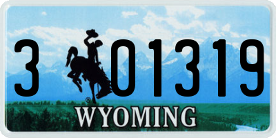 WY license plate 301319