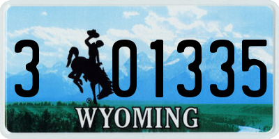 WY license plate 301335