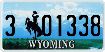 WY license plate 301338