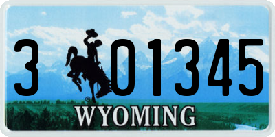 WY license plate 301345