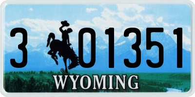 WY license plate 301351