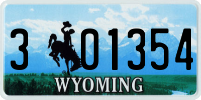 WY license plate 301354