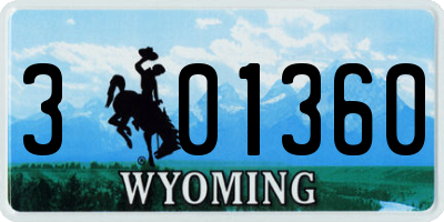 WY license plate 301360