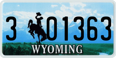 WY license plate 301363