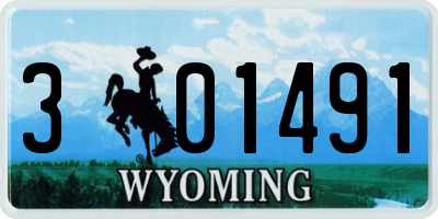 WY license plate 301491