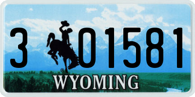 WY license plate 301581