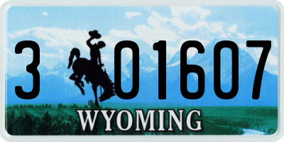 WY license plate 301607