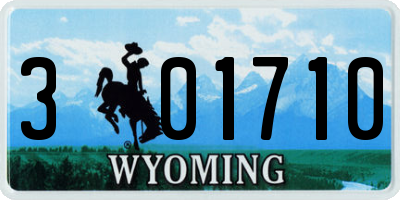 WY license plate 301710