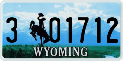 WY license plate 301712
