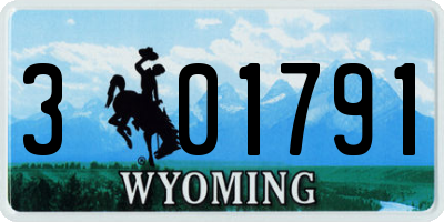 WY license plate 301791