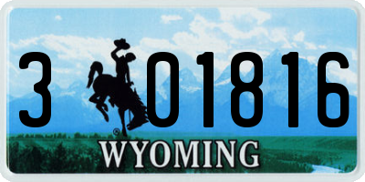 WY license plate 301816