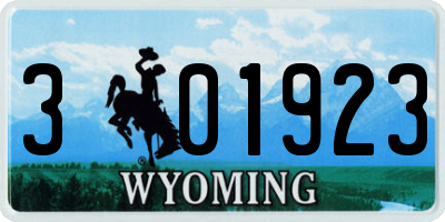 WY license plate 301923