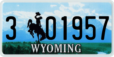 WY license plate 301957