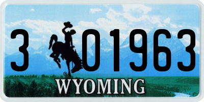 WY license plate 301963
