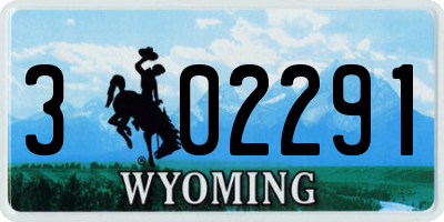 WY license plate 302291