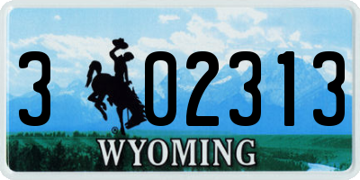 WY license plate 302313
