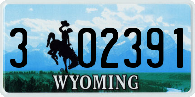 WY license plate 302391