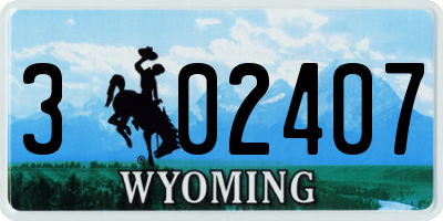 WY license plate 302407