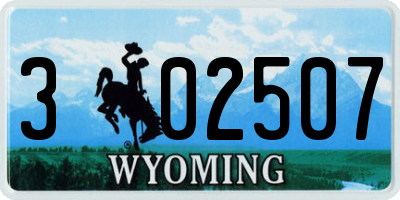 WY license plate 302507