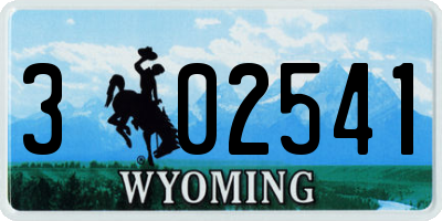 WY license plate 302541