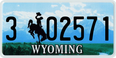 WY license plate 302571