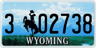 WY license plate 302738