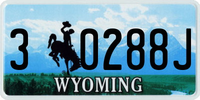 WY license plate 30288J