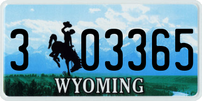 WY license plate 303365