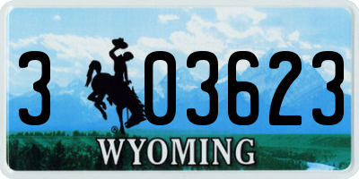 WY license plate 303623