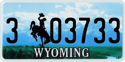 WY license plate 303733