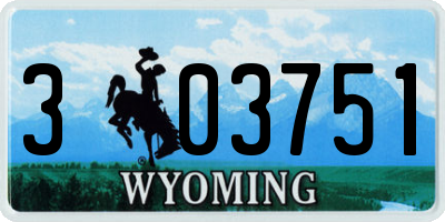 WY license plate 303751
