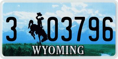 WY license plate 303796