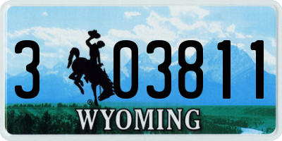 WY license plate 303811