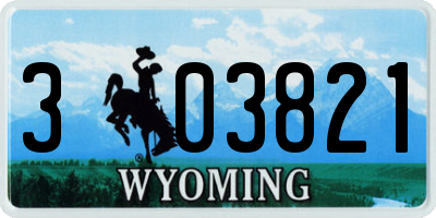 WY license plate 303821