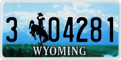 WY license plate 304281