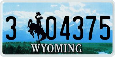 WY license plate 304375