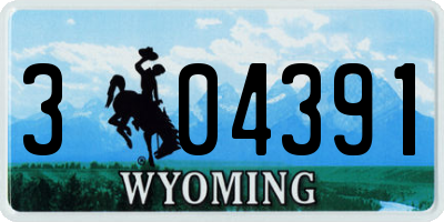 WY license plate 304391