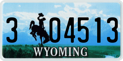 WY license plate 304513