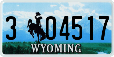 WY license plate 304517