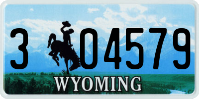 WY license plate 304579