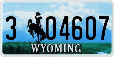 WY license plate 304607