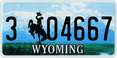 WY license plate 304667