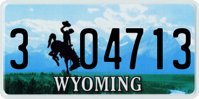 WY license plate 304713