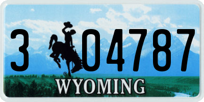 WY license plate 304787